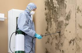  , USA Mold Removal & Remediation Pros